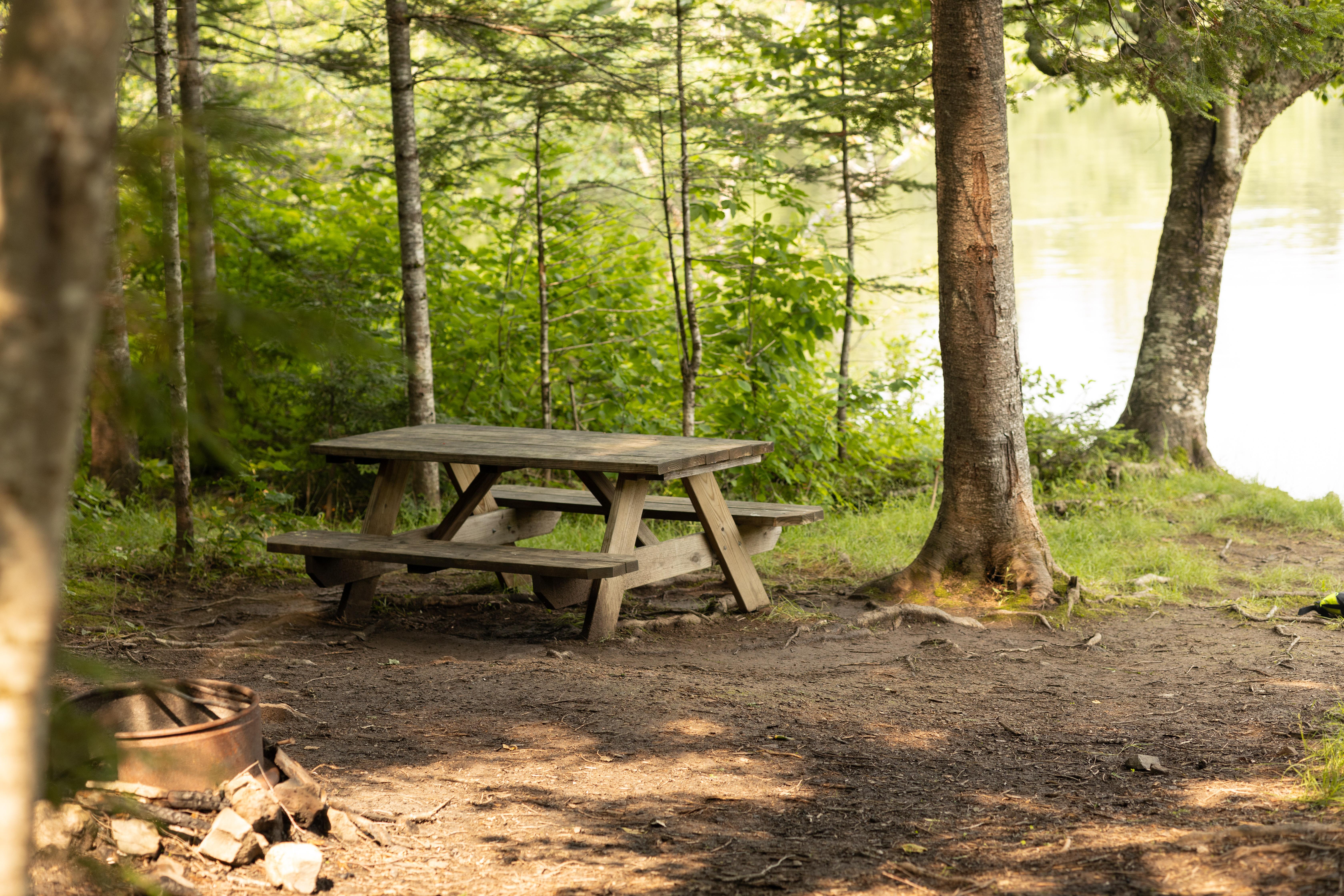 A picnic table in a small clearing surrounded by trees by a river