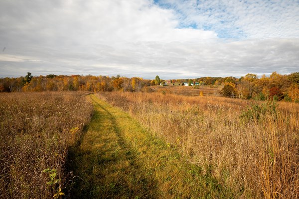 Photograph of an autumn prairie scene with a grassy trail meandering into the distance.