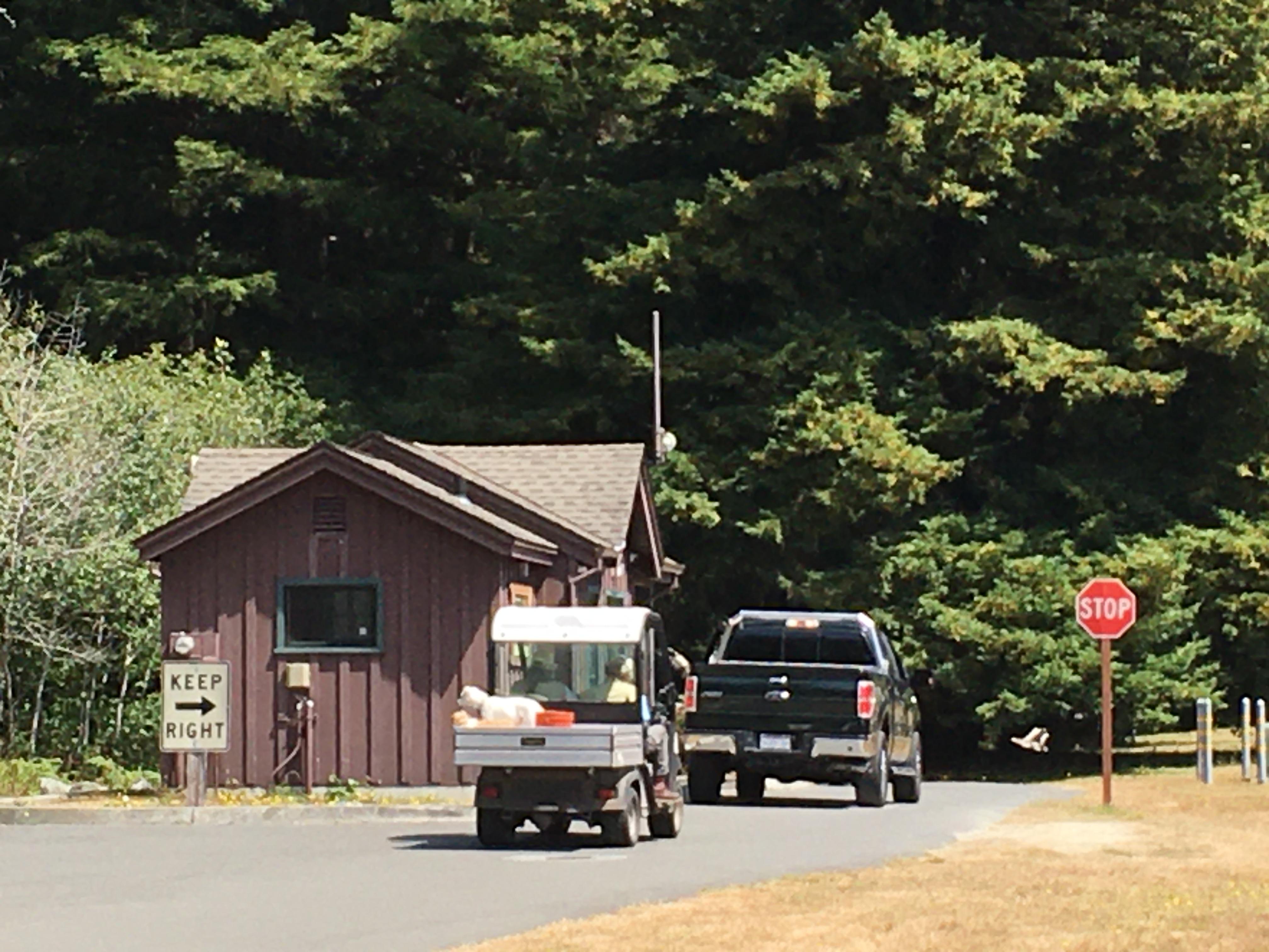 Two vehicles next to a brown building. Redwood trees in the background.