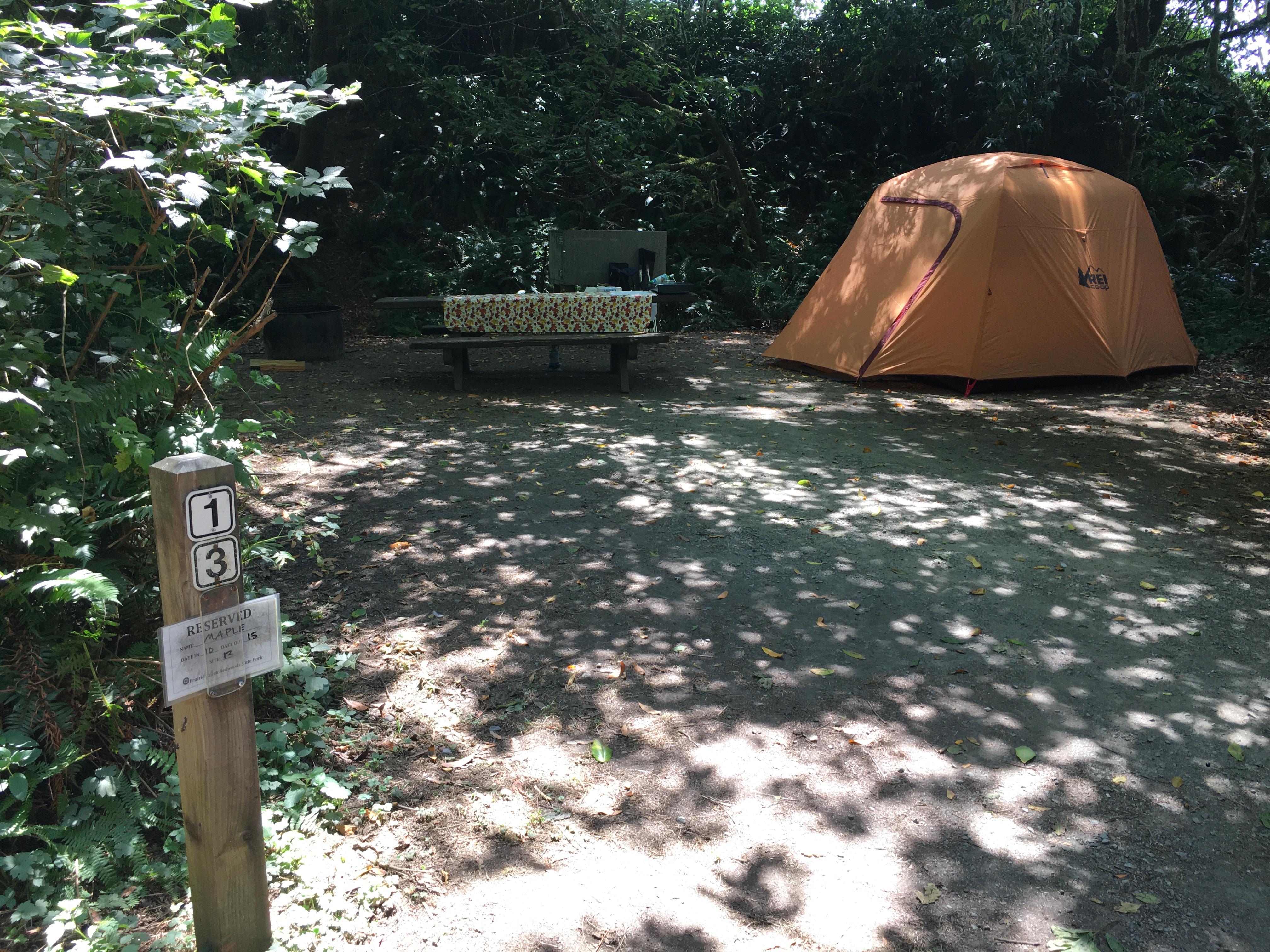 A tent and picnic table in the shade.