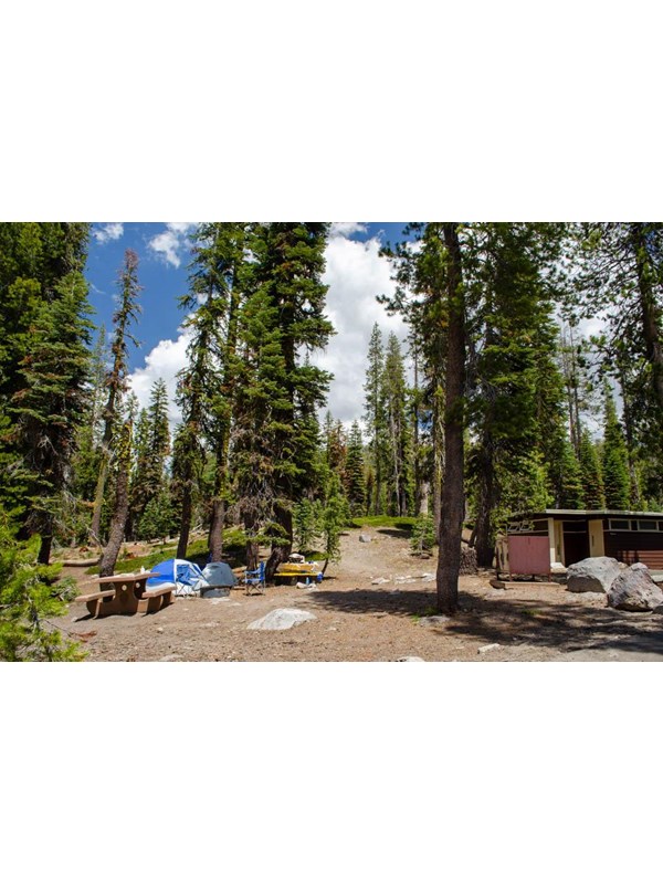 Two tents, two chairs, and a picnic table at a campsite in trees with a restroom to the right.