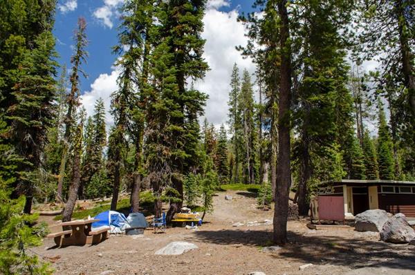 Two tents, two chairs, and a picnic table at a campsite in trees with a restroom to the right.