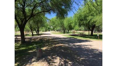 Cottonwood campground view