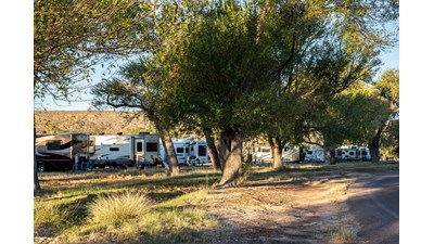 RVs lined up in Rio Grande Village RV campground