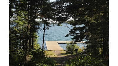 Dock in Lake Superior through a tunnel of trees.