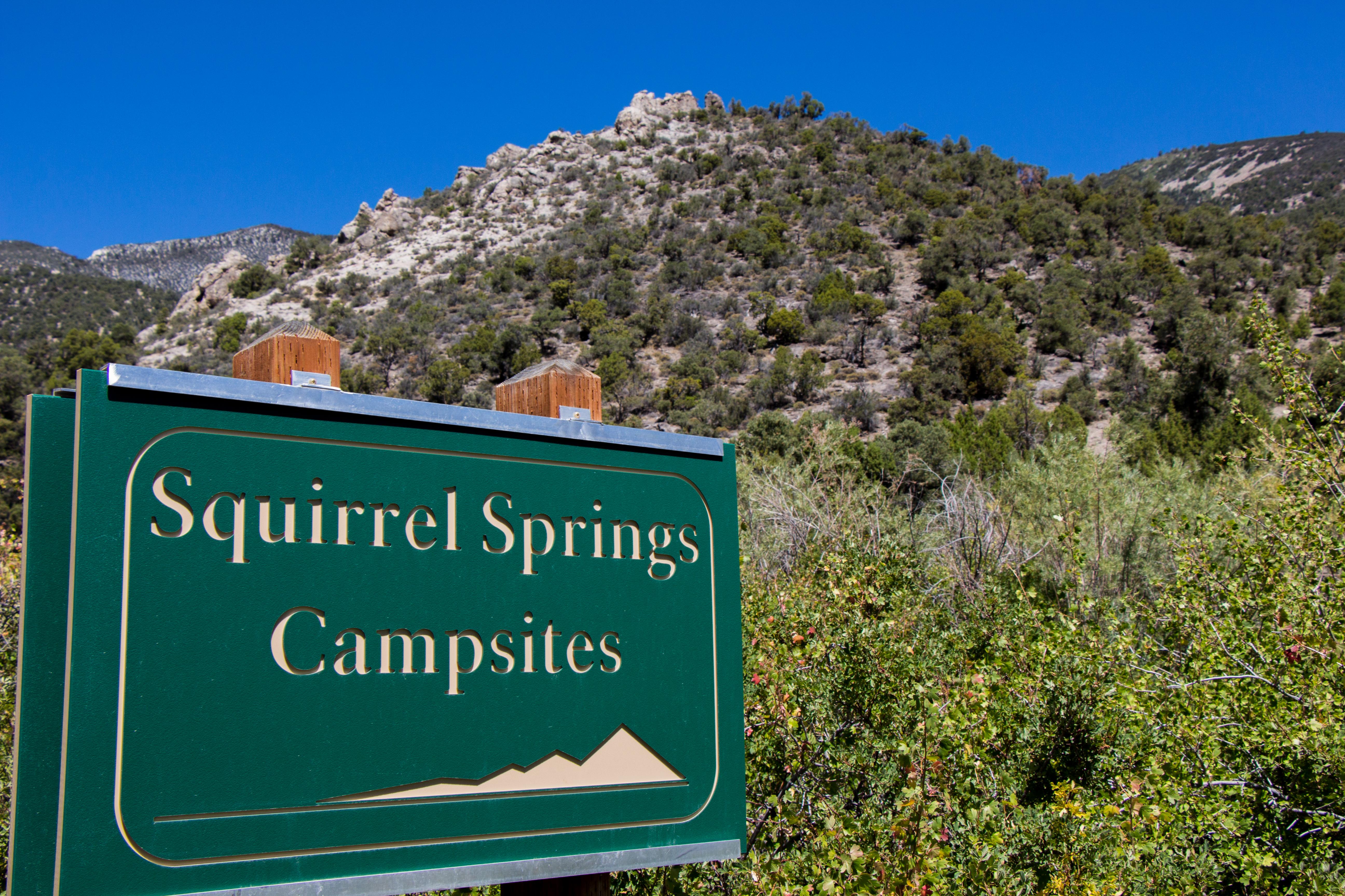 Squirrel Springs Campground sign with mountain in background