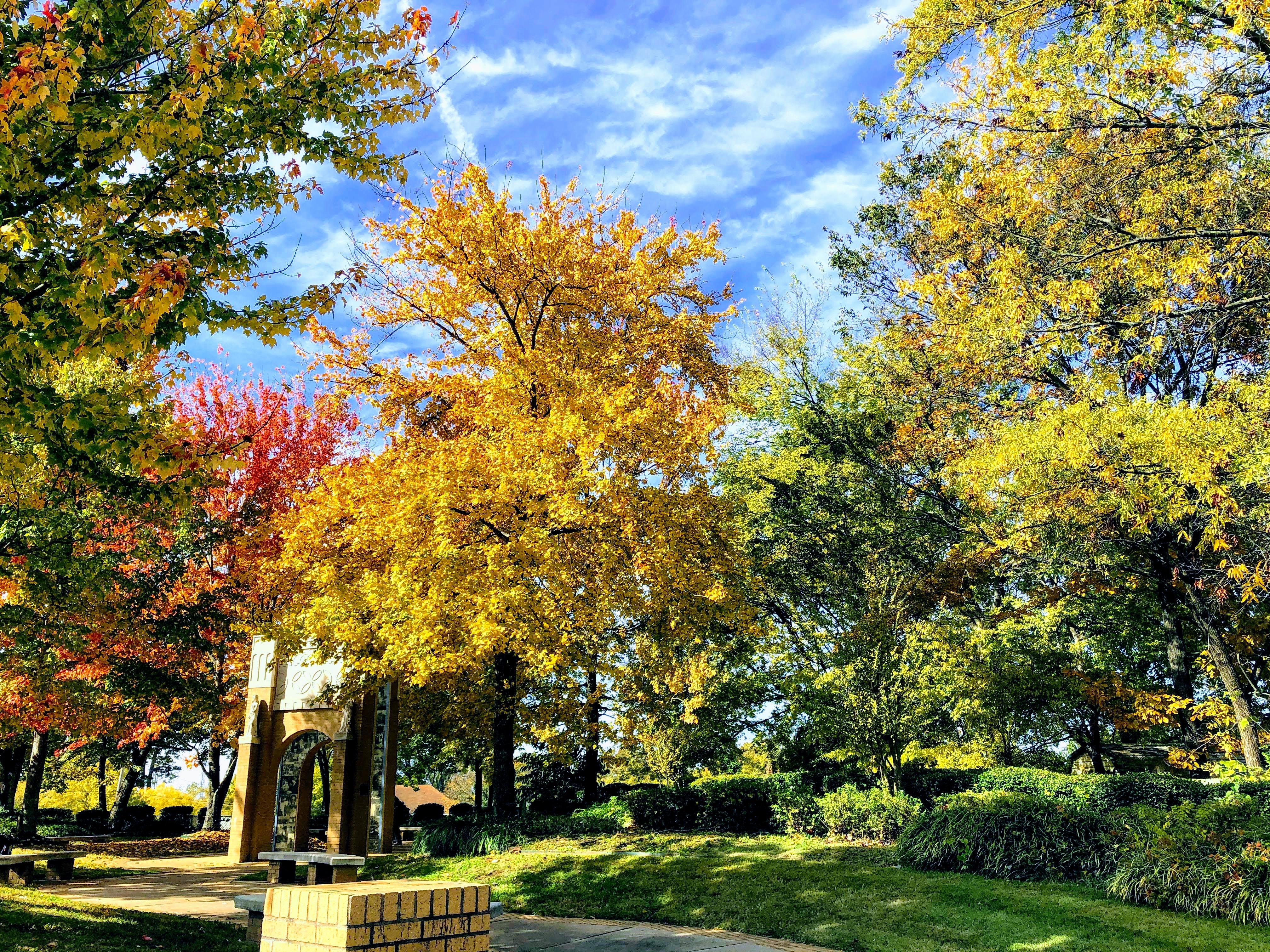 Fall colors in the commemorative garden