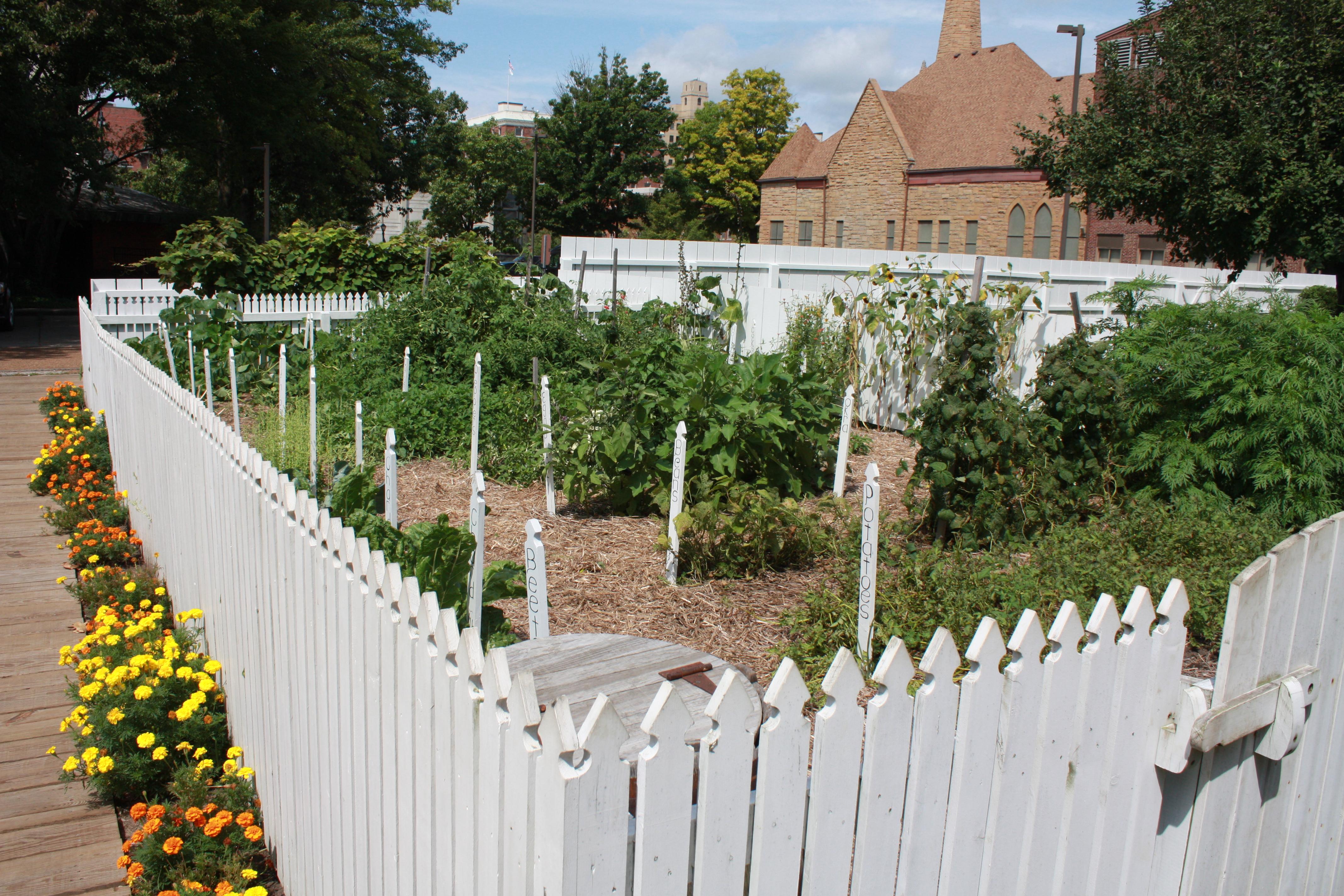 Garden with green plants surrounded by white picket fence