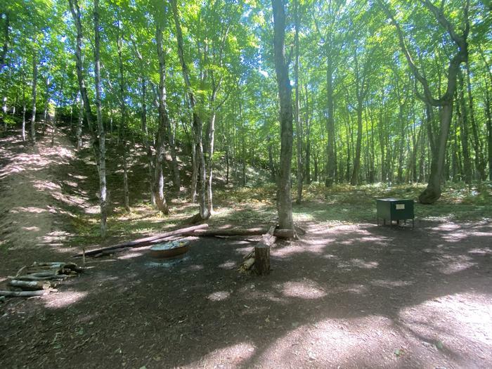 Campsite with cleared ground that contains and fire ring and a bear box.