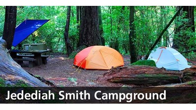 Tent camping in the redwoods.