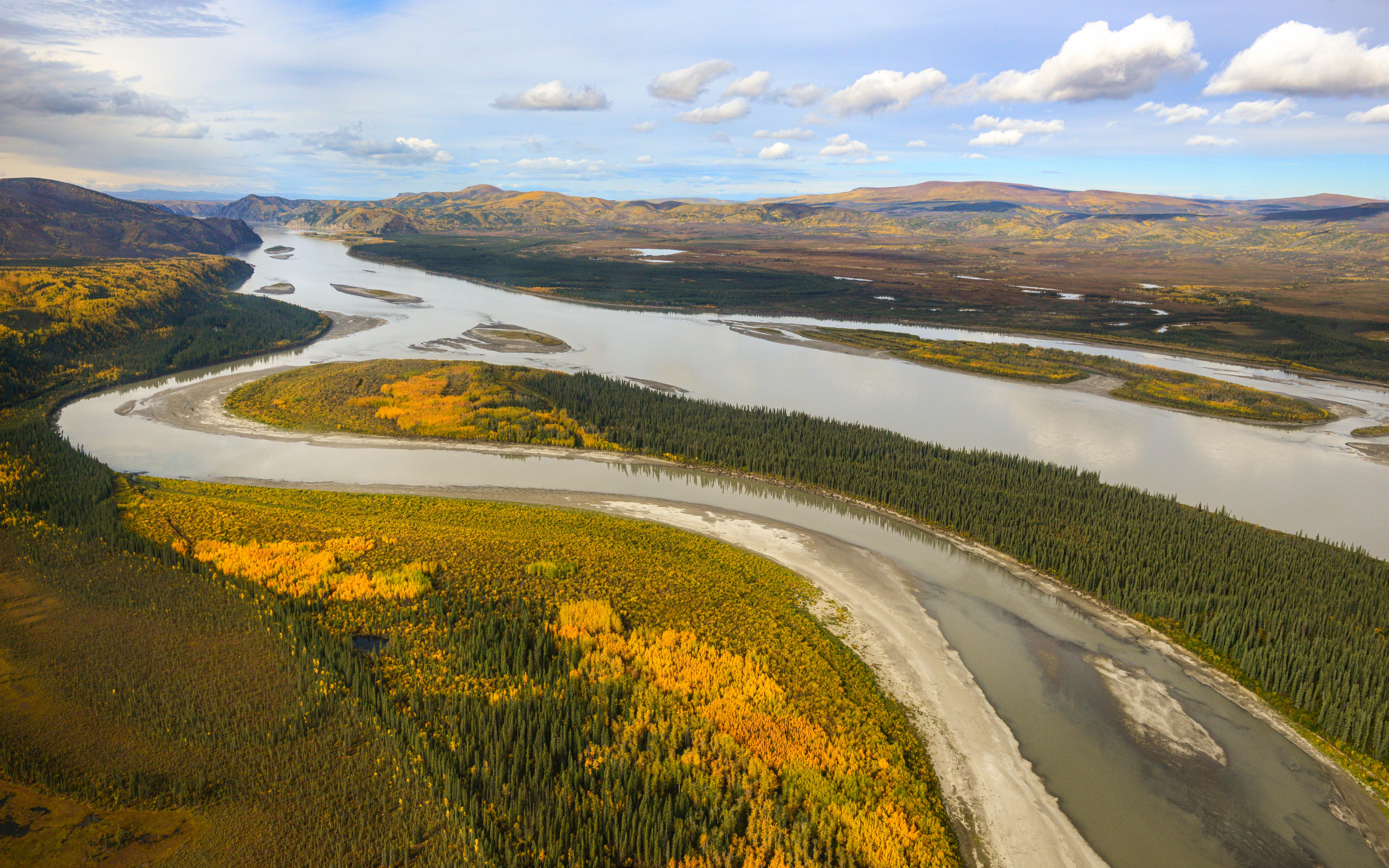 Aerial view of the Yukon River during fall colors