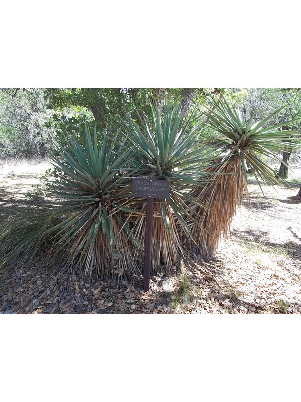 Grass Shack Sign at arrival of Grass Shack Camp Site Area