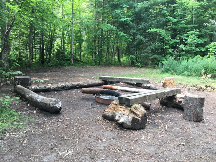 Logs arranged in square for seating around a fire ring in a forest.