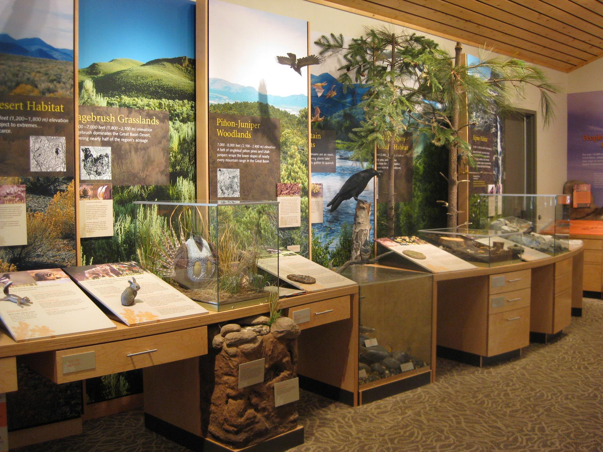 Exhibit about life zones in the Great Basin Visitor Center. Tan cabinets with pictures of life zones