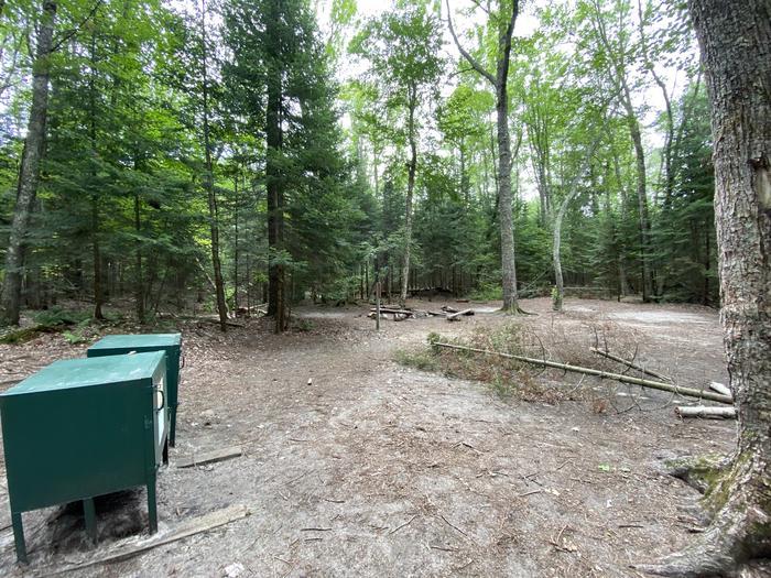 Open dirt area in the middle of a forested area. Two bear boxes on the right side.
