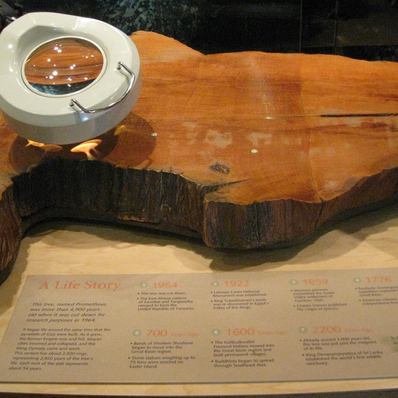 Prometheus Tree Rings