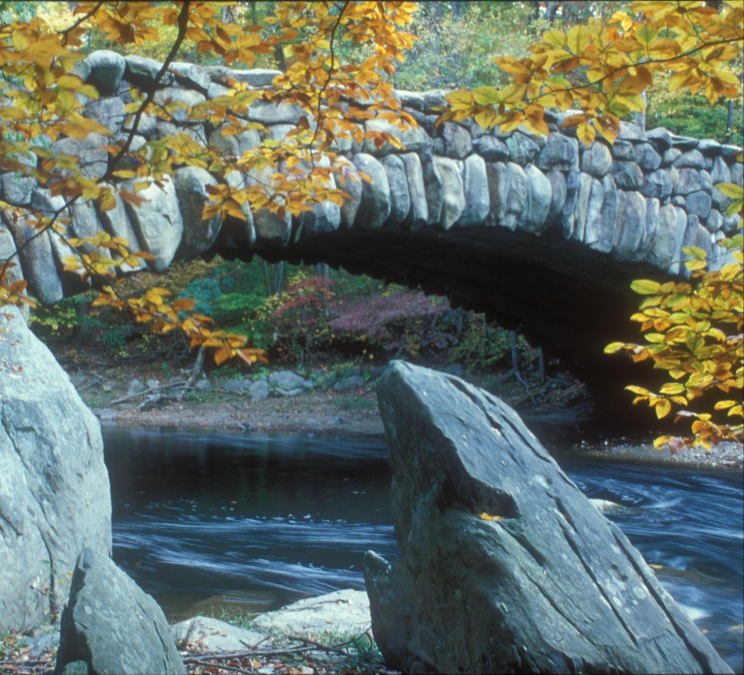 Stone bridge and fall leaves