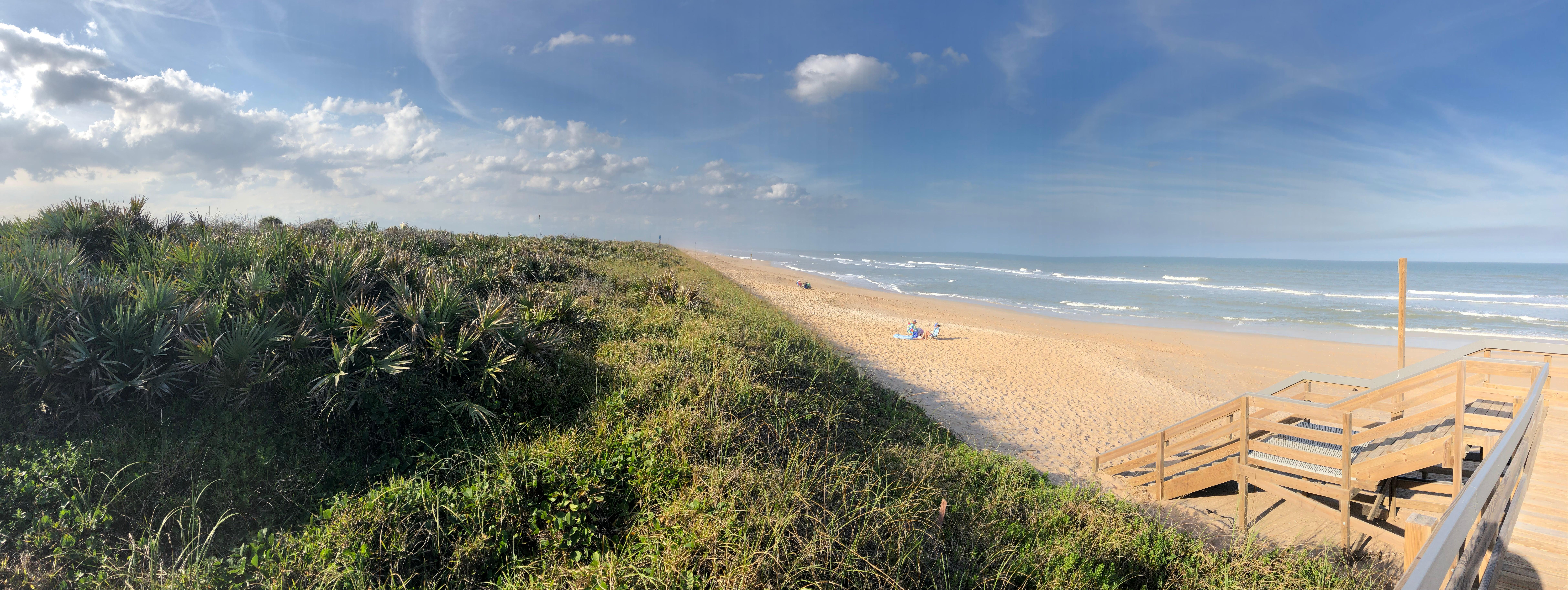 Dune plants, beach, and ocean.