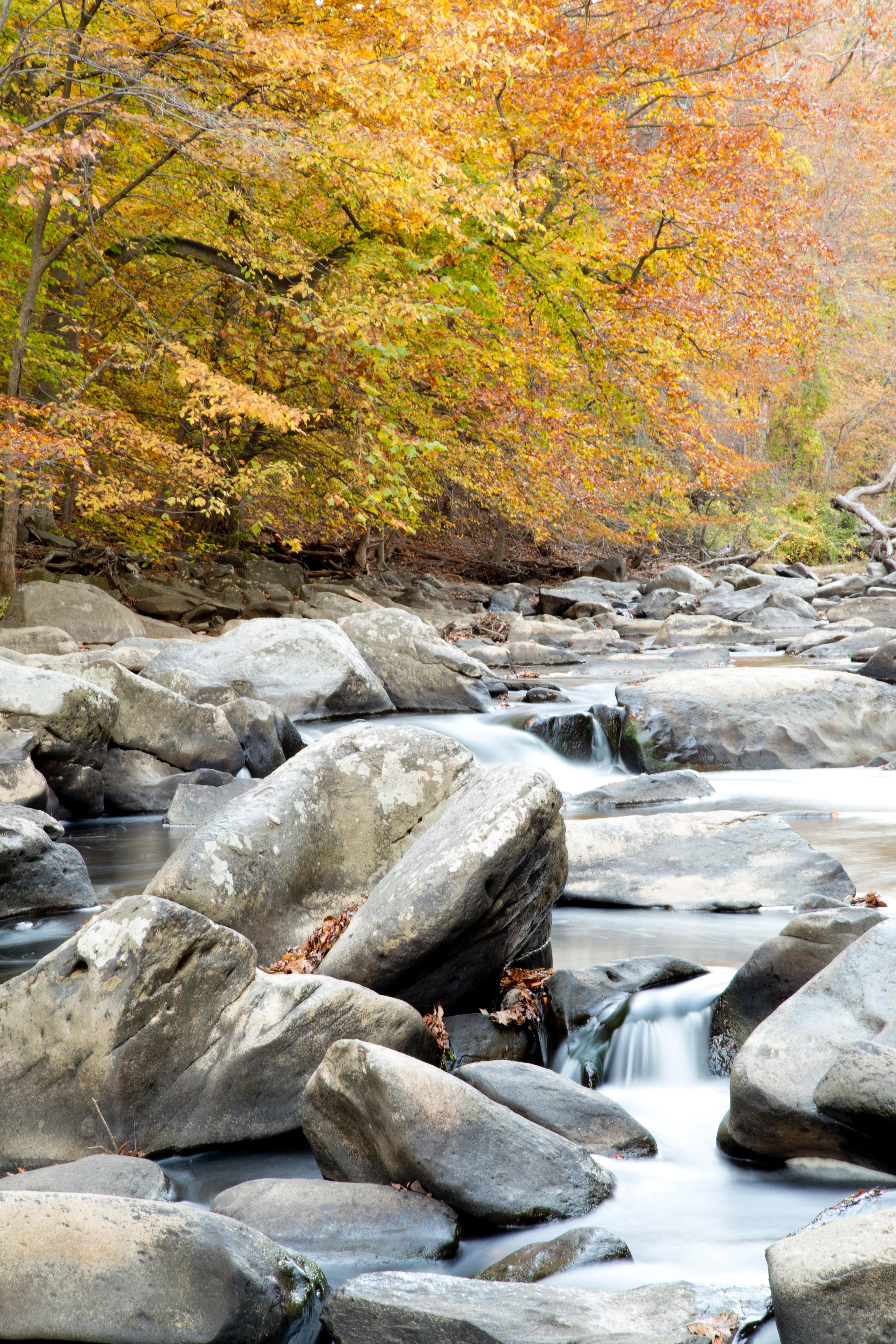 Water swirls around large boulders in a creek.  Trees in autumn colors line the bank