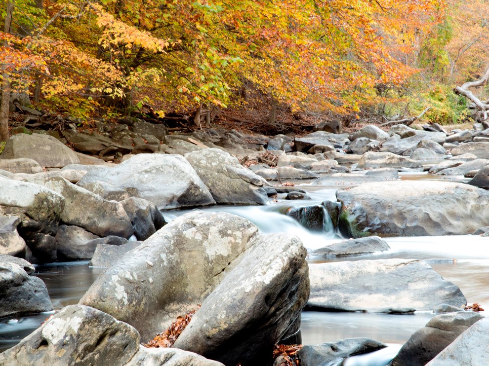 Rock Creek Park