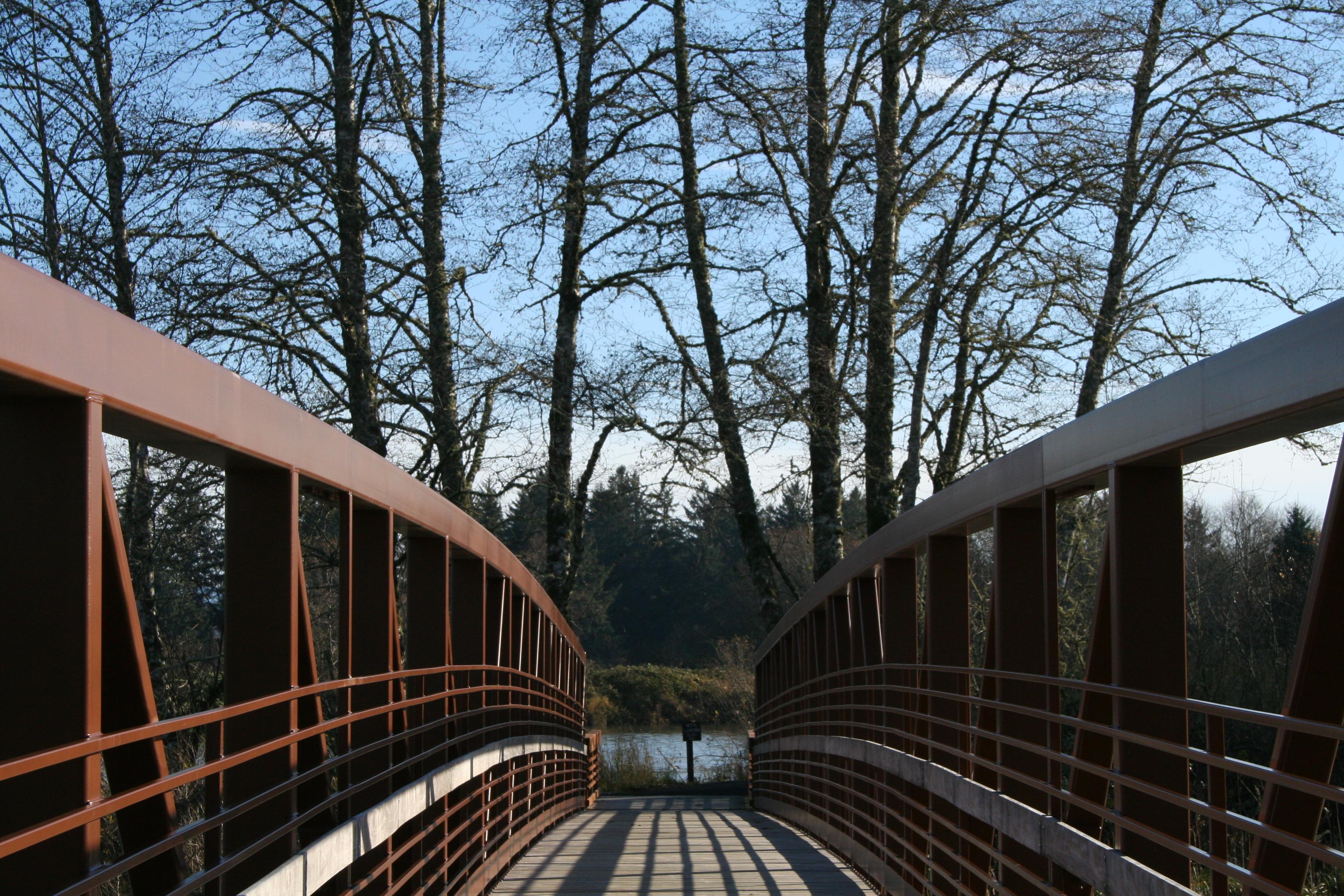 Looking directly down a short railed bridge towards a calm river surrounded by leafless trees.