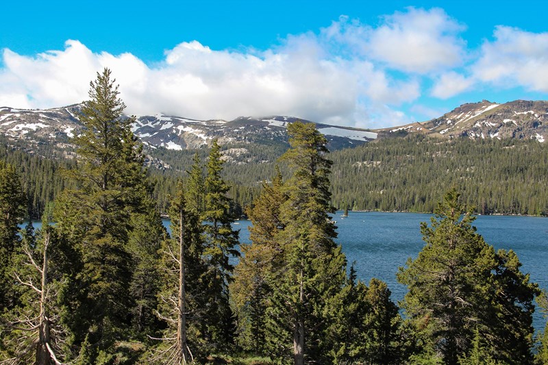 View of West Pass on Carson Route Pine trees partly obscure a distant mountain lake with snow-capped mountains.