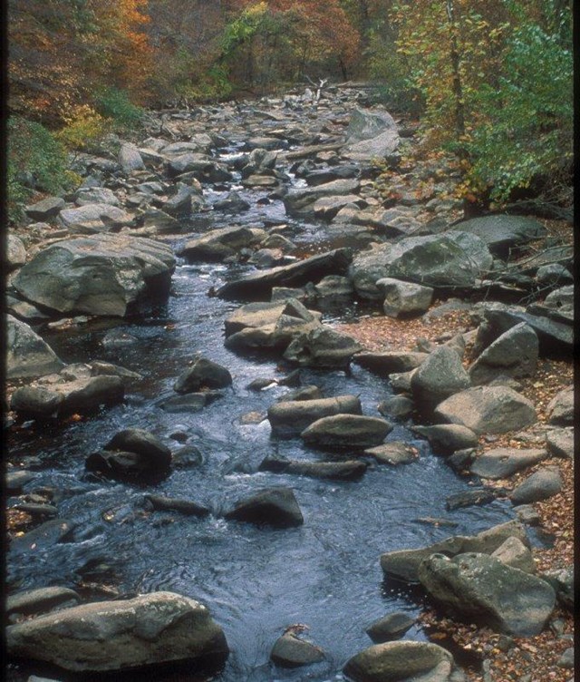 Dark boulders scattered through a narrow creek. Green trees rise up on either bank.