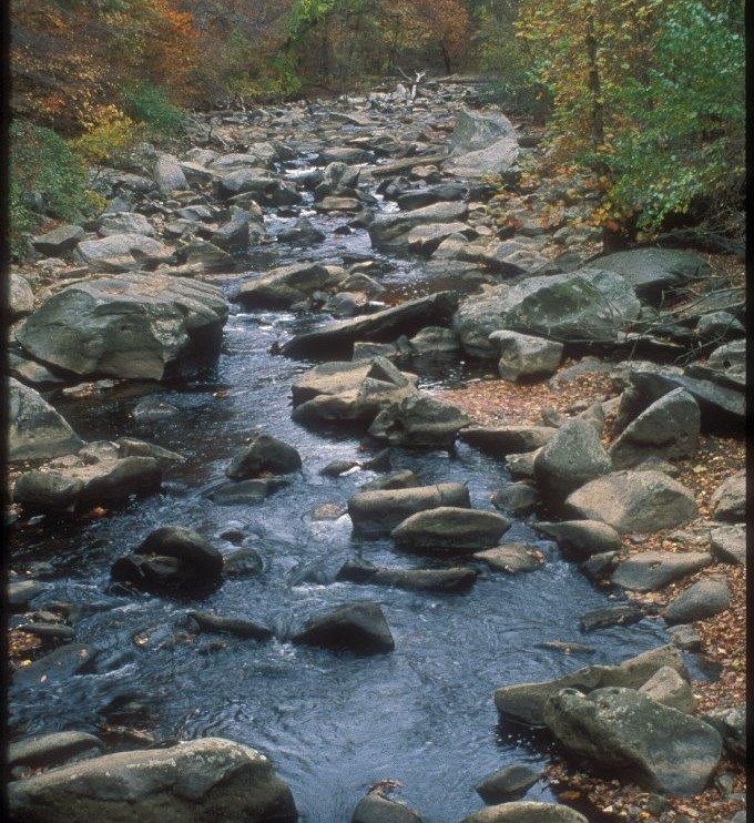 Rock Creek Park