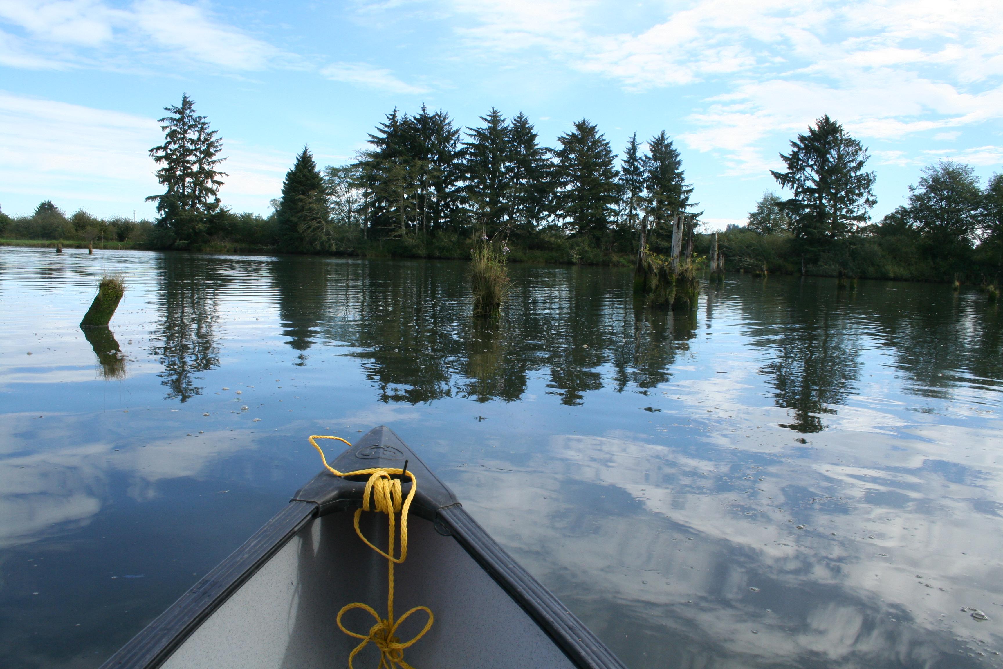 The front end of a canoe on a river, the water still and reflecting large trees and clouds.
