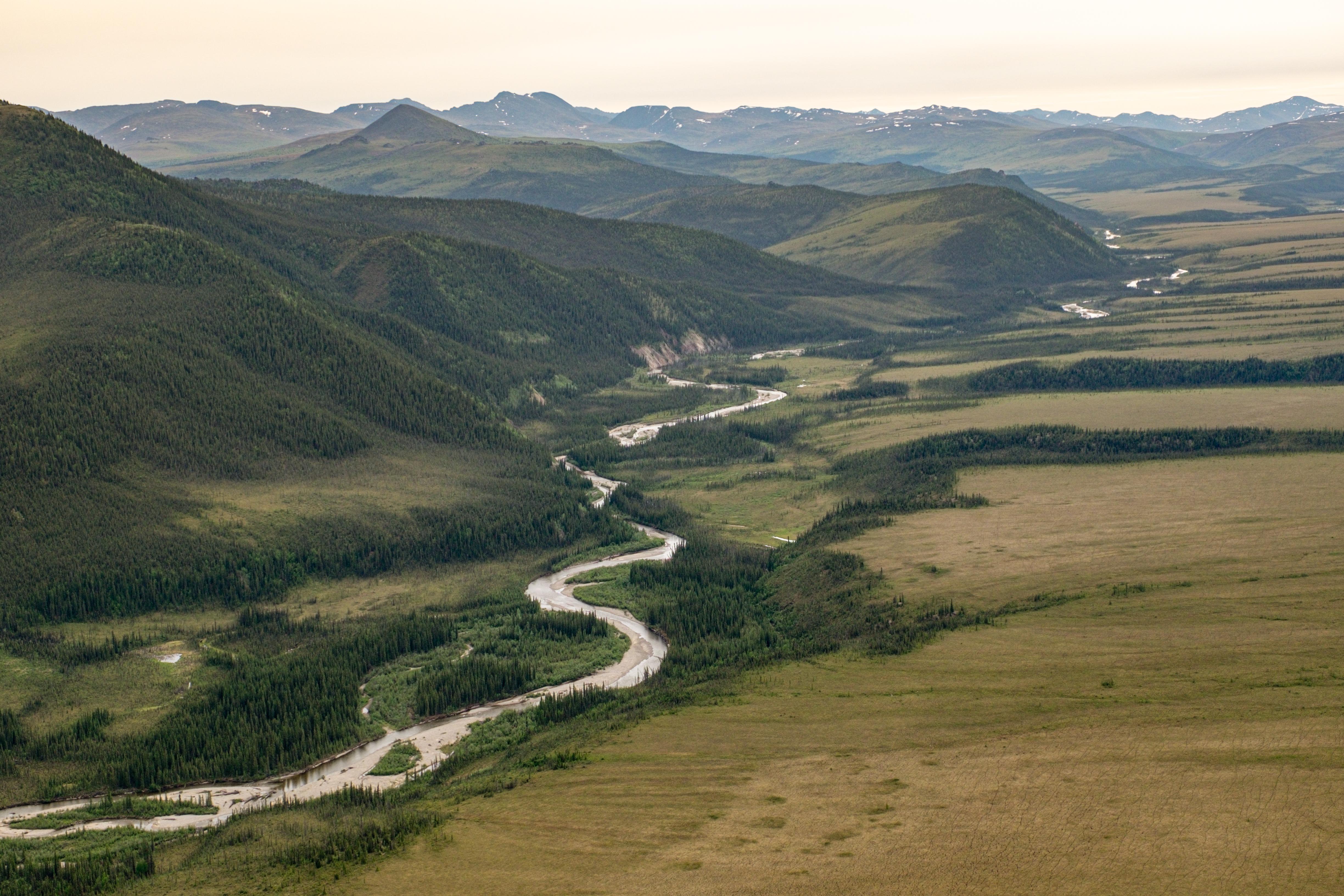 Aerial view of the Charley River winding through the tundra and mountains