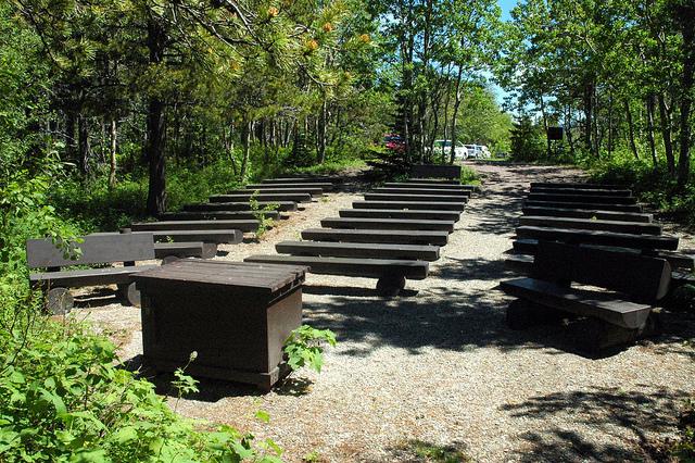 brown wooden benches on slope in forest clearing
