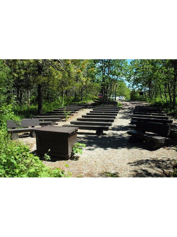 brown wooden benches on slope in forest clearing