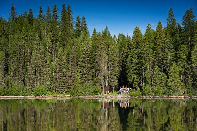 small rustic cabin and tent on lakeshore surrounded by tall conifers