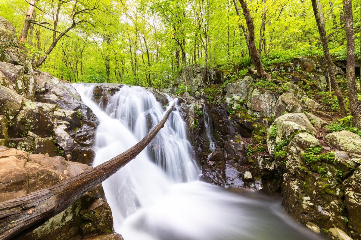 Cascading falls in a lush forest.