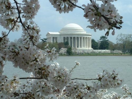 Jefferson Memorial Hains Park