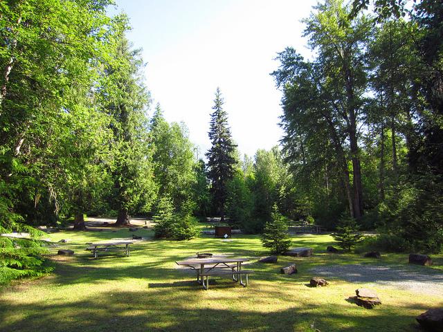 gravel parking spaces and picnic tables in forest clearing