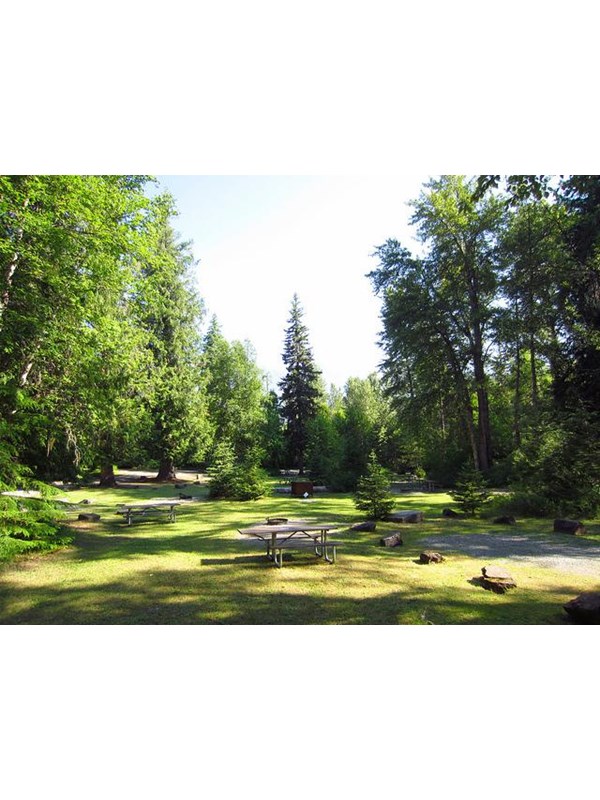 gravel parking spaces and picnic tables in forest clearing