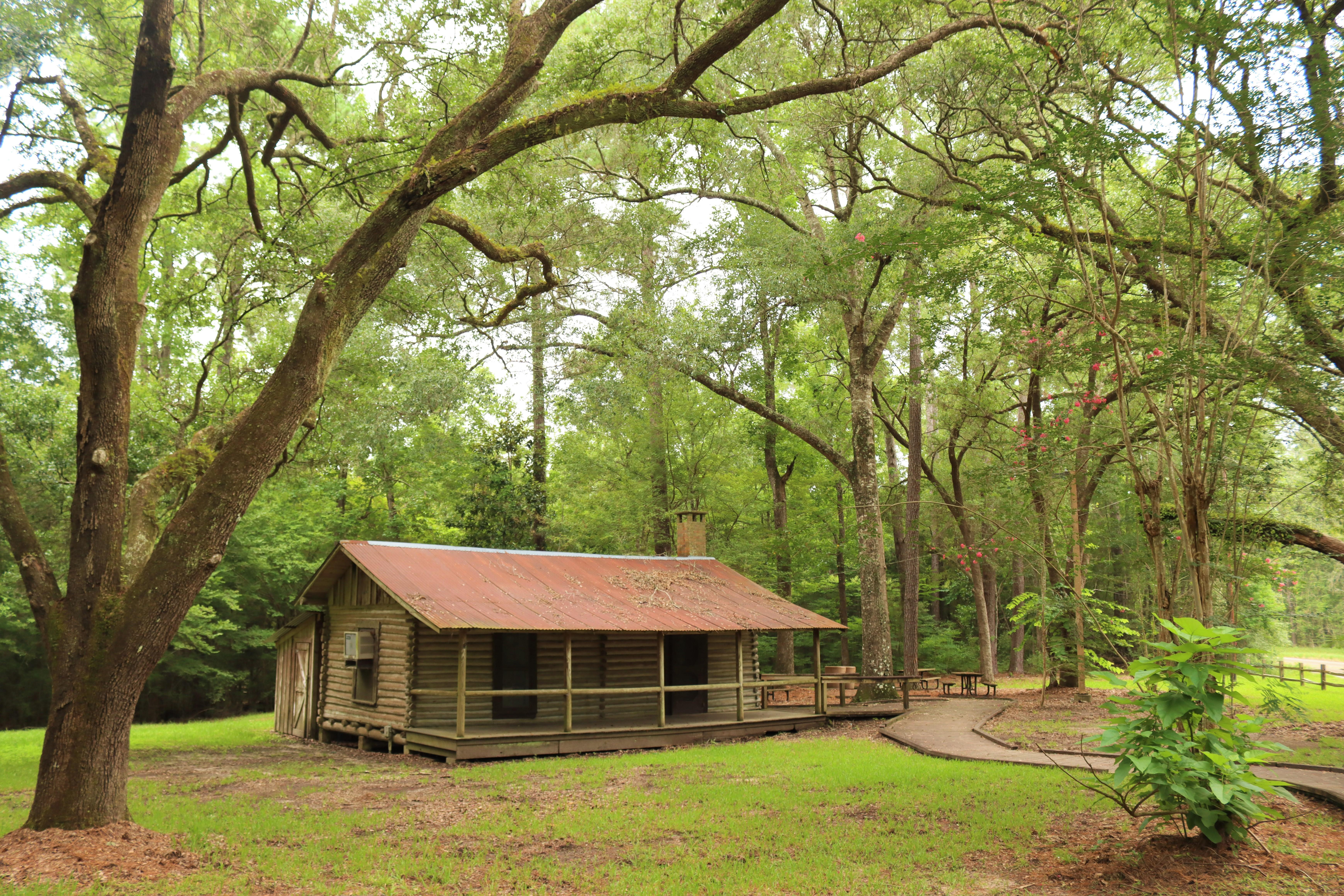 A log cabin in a forest beneath a canopy of sprawling live oak trees.