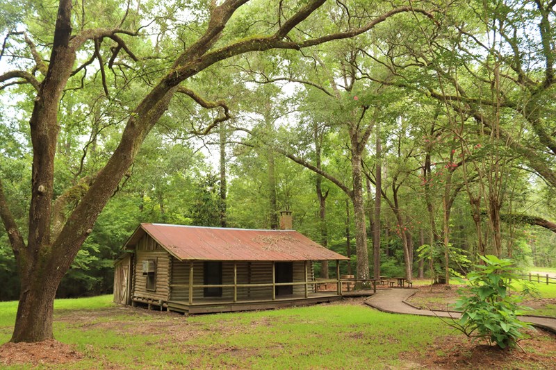 Staley Cabin A log cabin in a forest beneath a canopy of sprawling live oak trees.