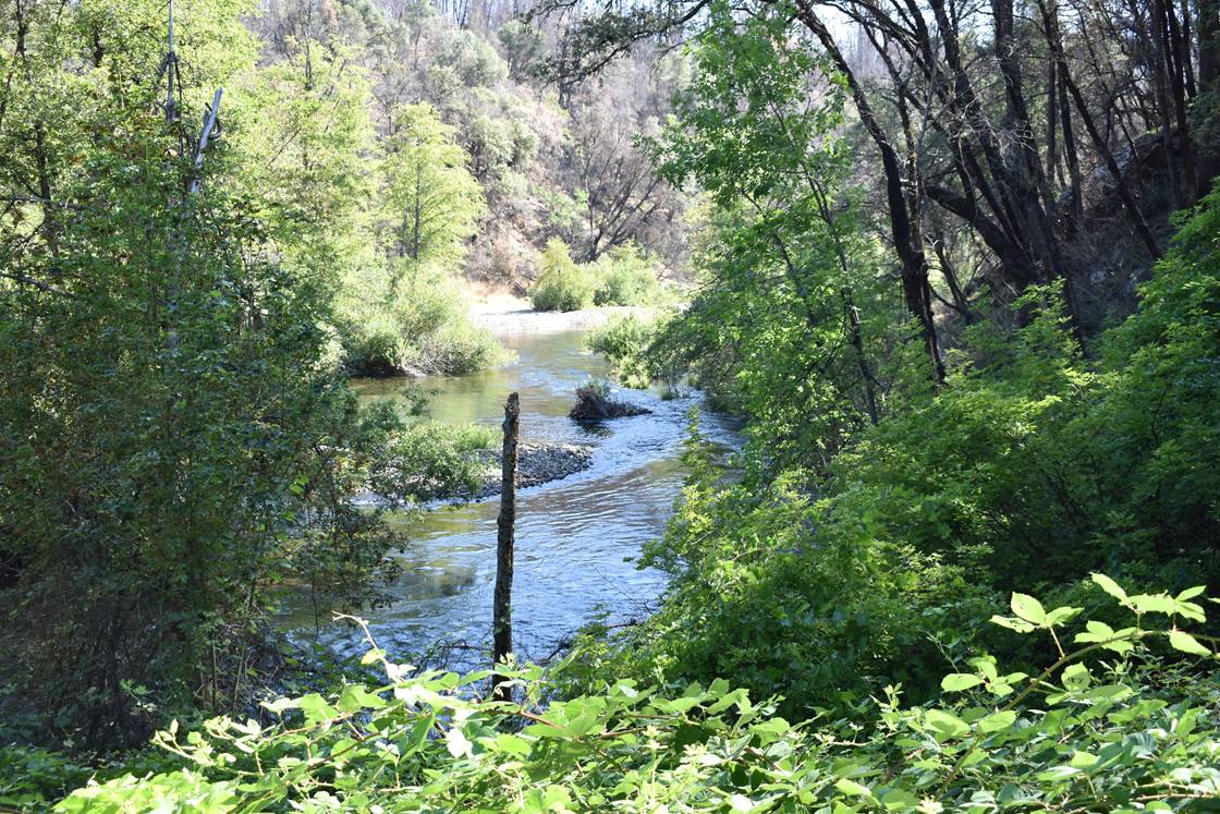 Clear Creek running past Peltier Bridge Campground, a popular fly-fishing spot at Whiskeytown