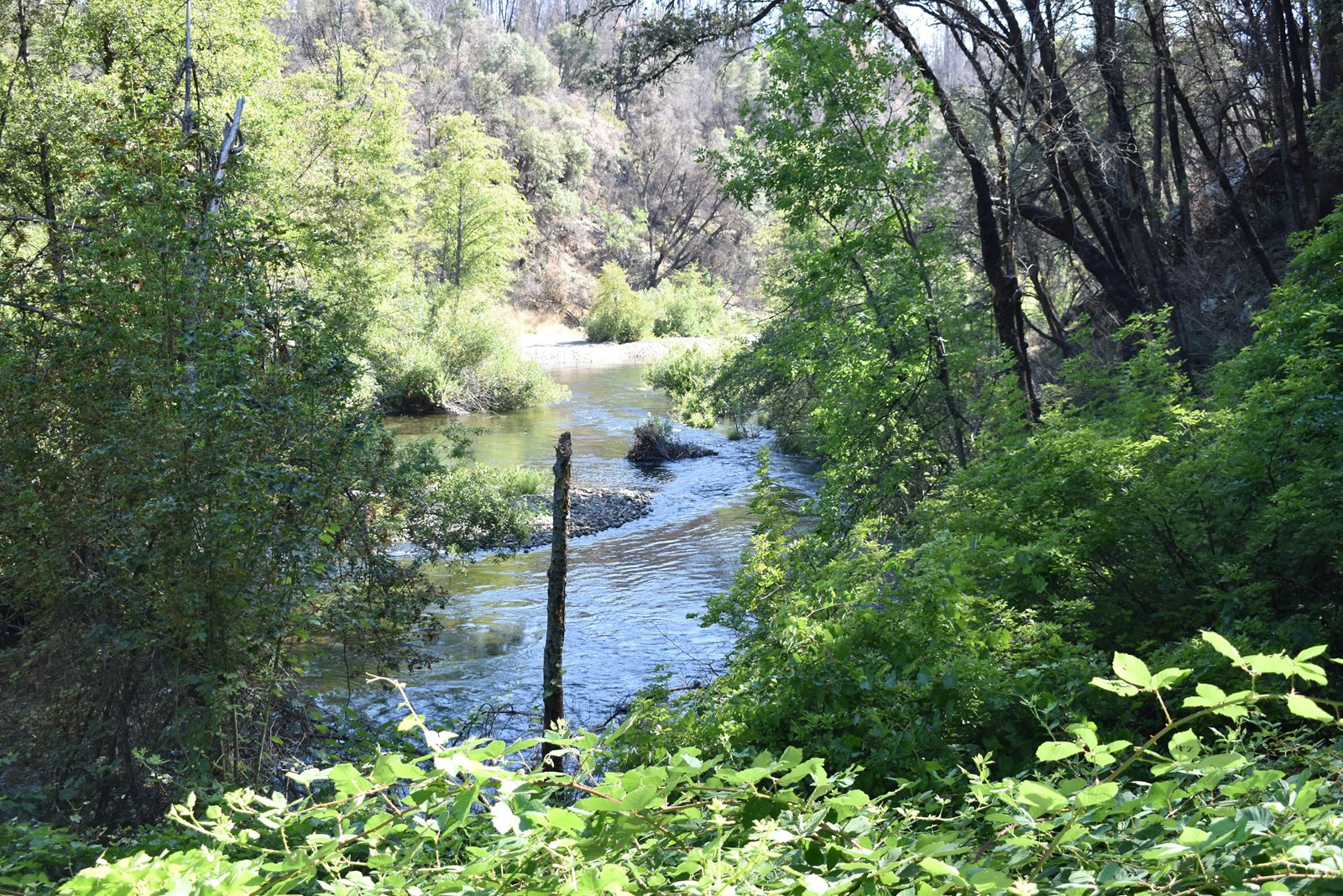 Clear Creek running past Peltier Bridge Campground, a popular fly-fishing spot at Whiskeytown