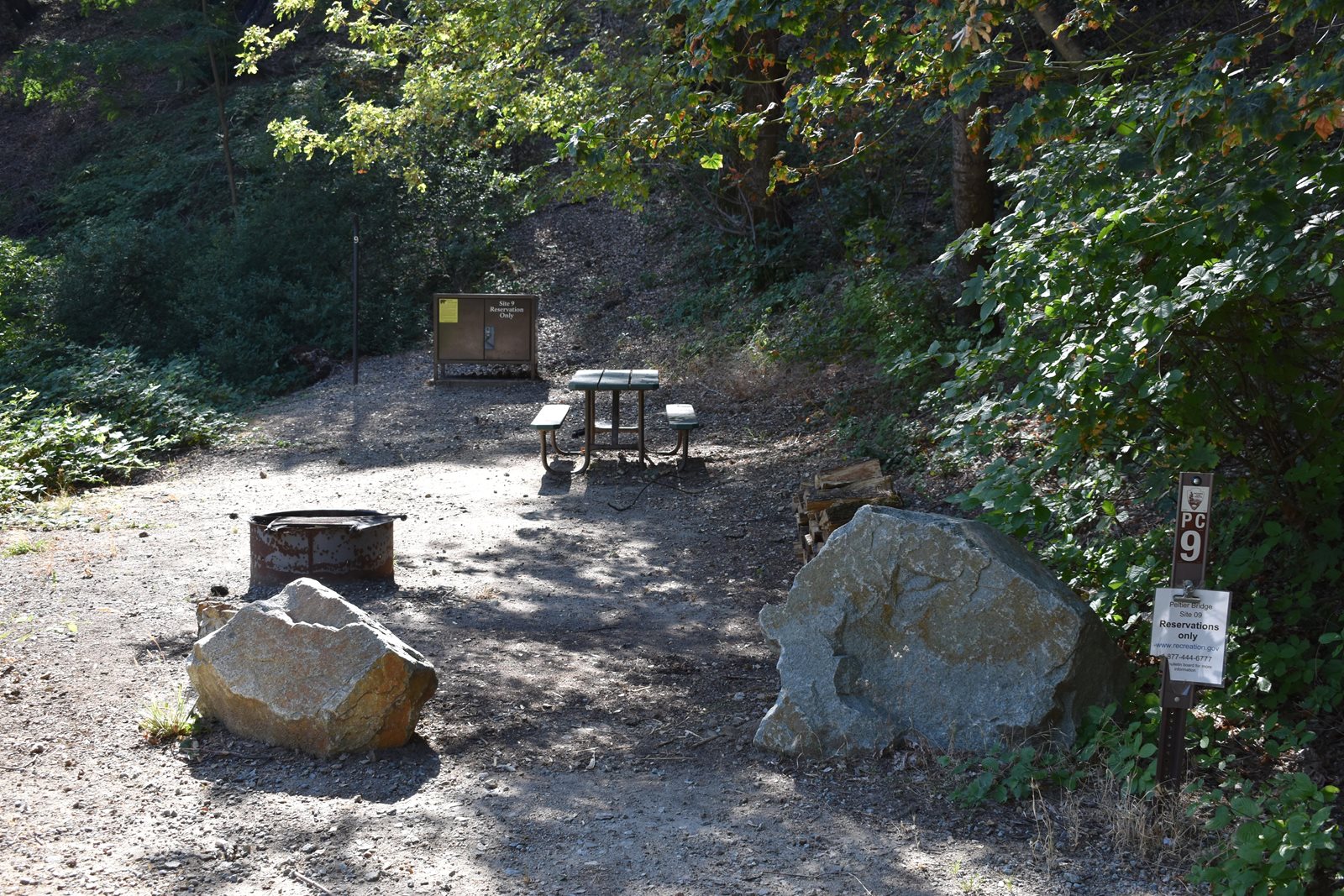 Site 9 at Peltier Bridge Campground, the shaded creekside site campers single out