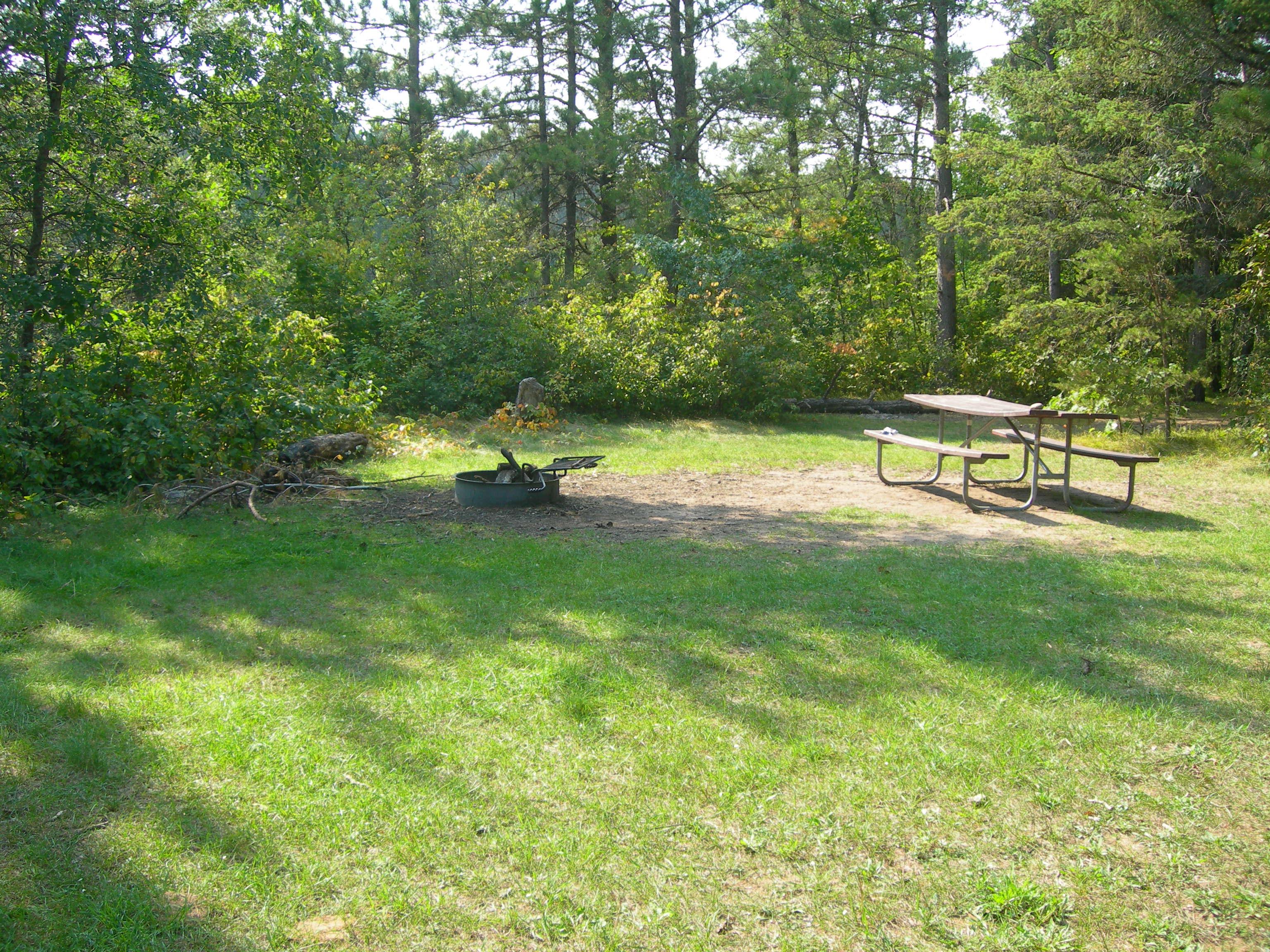 A picnic table and a fire ring in an open grass space surrounded by trees and shrubs.