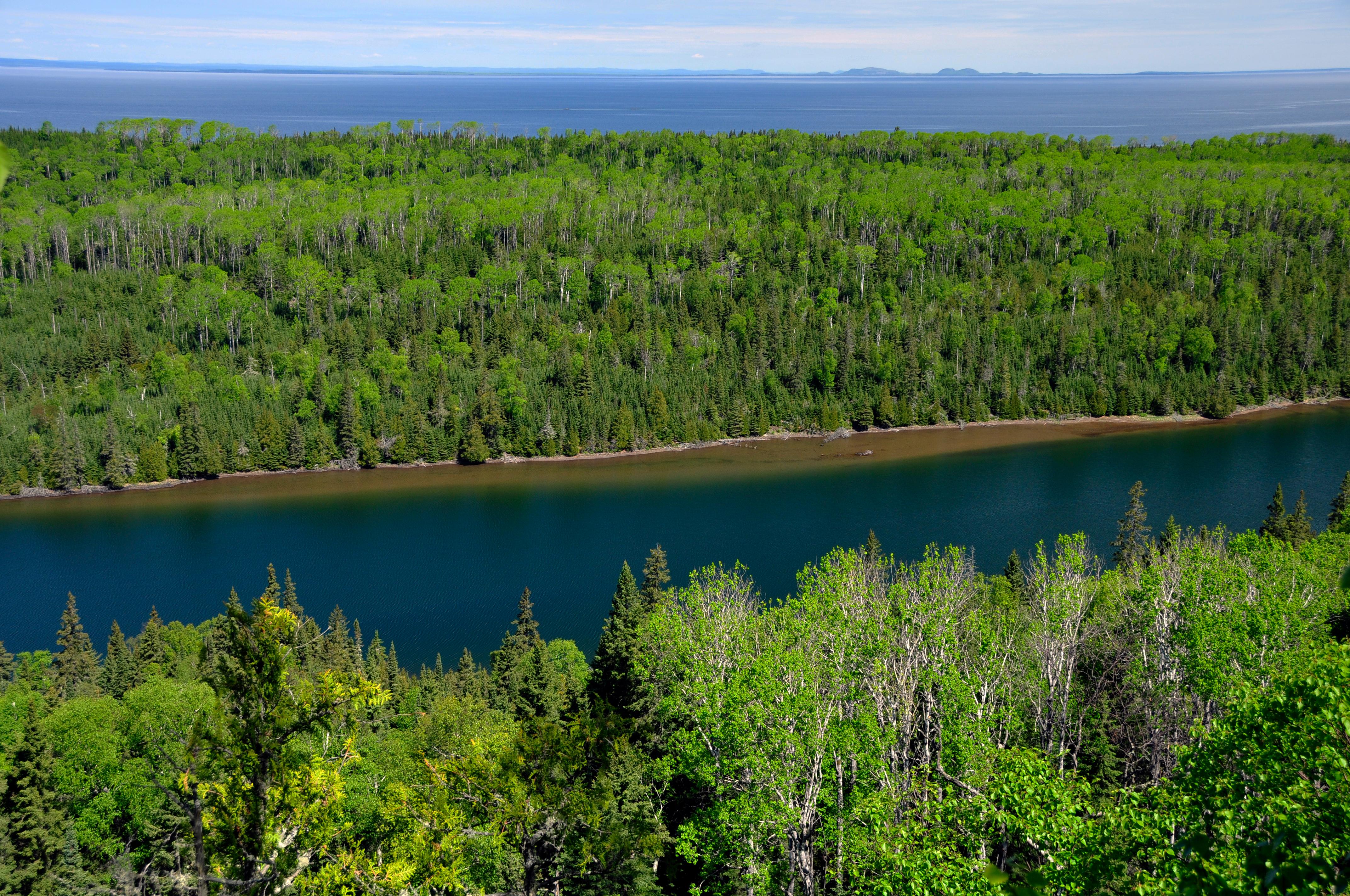 View from above the trees looking down at Duncan Bay Narrows, trees, Lake Superior, and Canada.