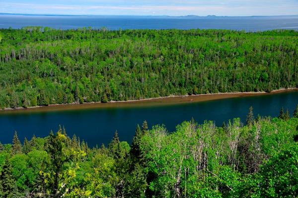 View from above the trees looking down at Duncan Bay Narrows, trees, Lake Superior, and Canada.