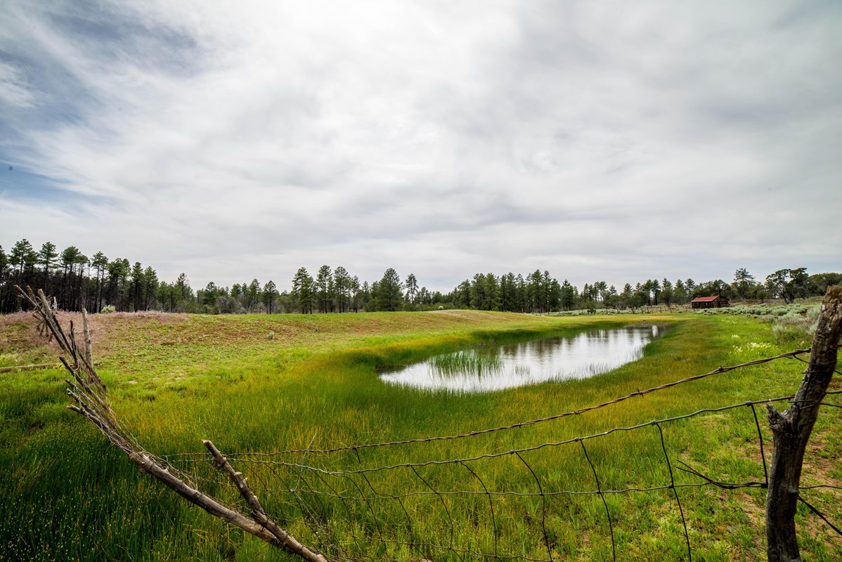 Looking across a long narrow stockpond. Green grass slopes towards the water. 