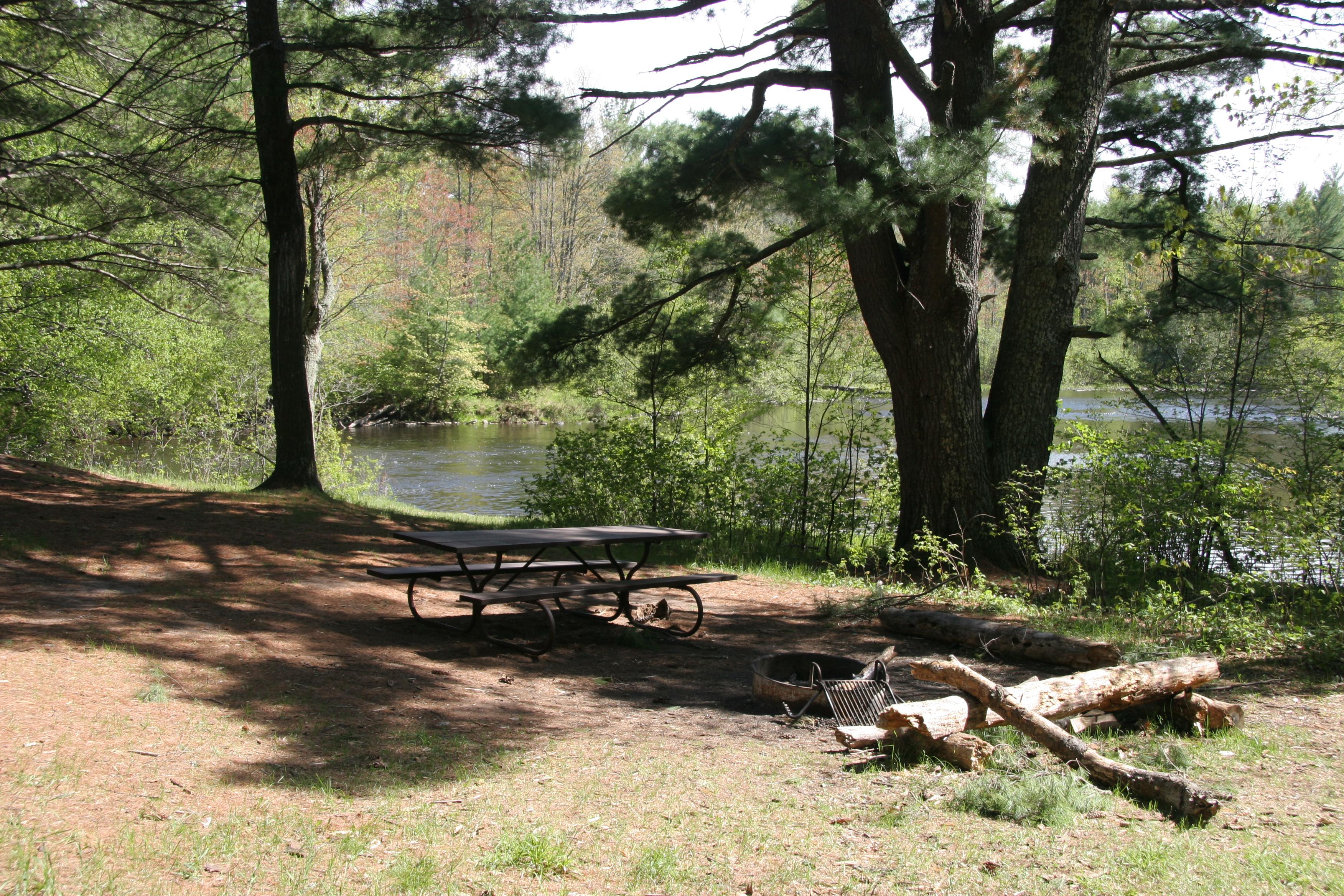 A picnic table and fire ring sit under the shade of pine trees next to a river.