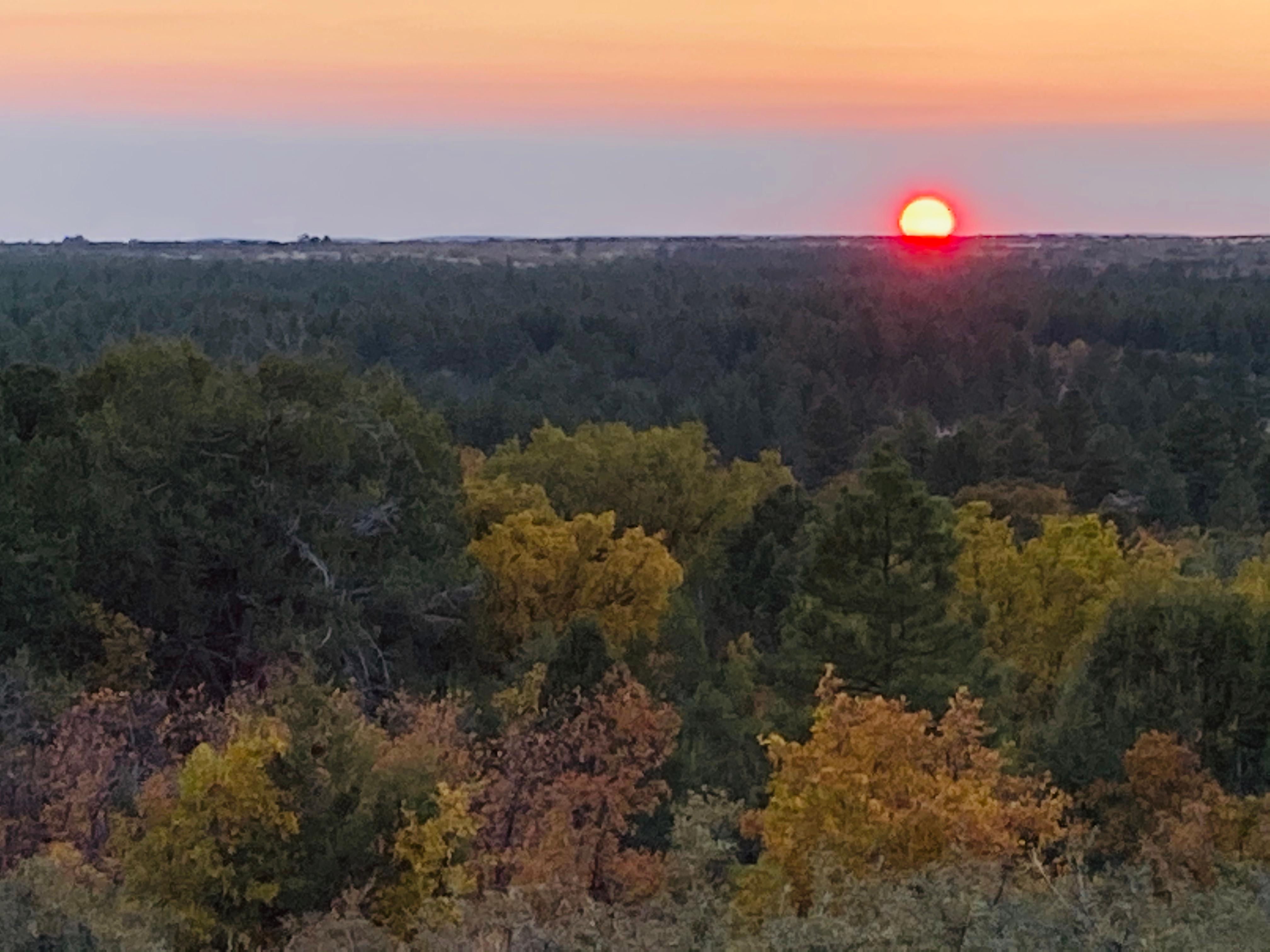 The setting sun sits above trees and shrubs adorned with hues of orange, red and green.