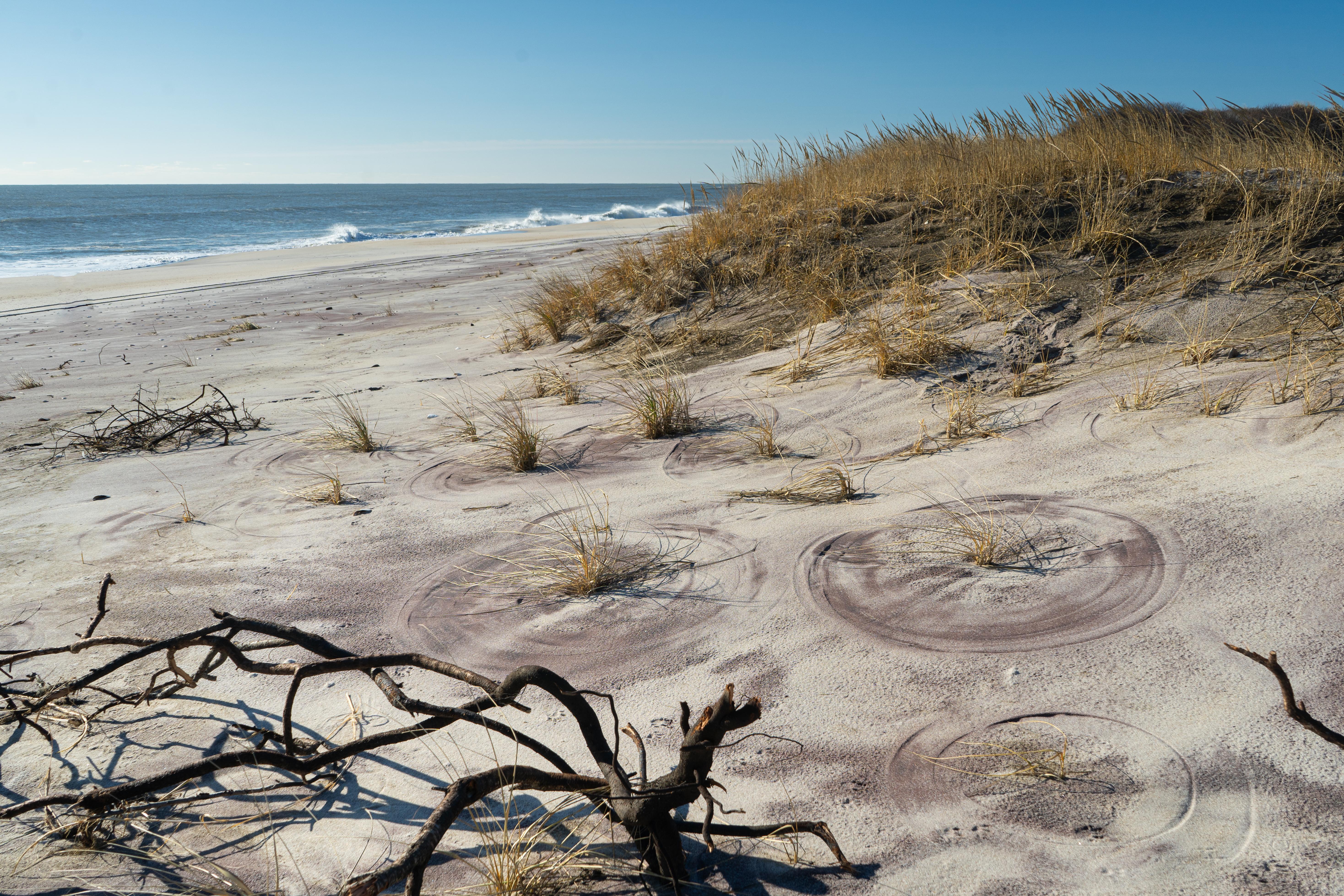 A view of the ocean from a break in the dune, with compass circles left by wind-blown beach grass.