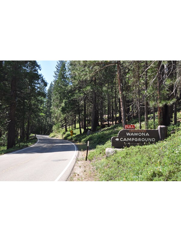 Wooden Wawona Campground sign located along the Wawona Road